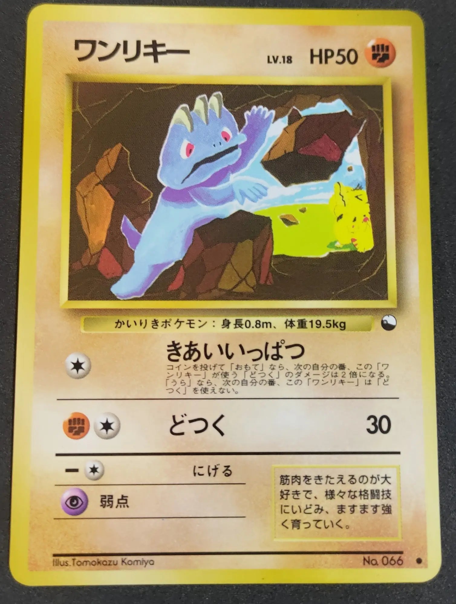 
    Pokémon Japanese Single Cards
  