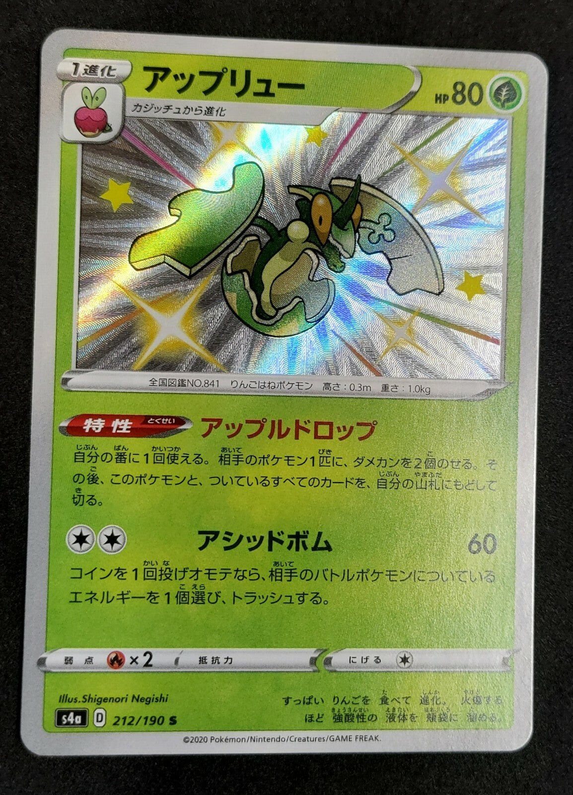 7237376