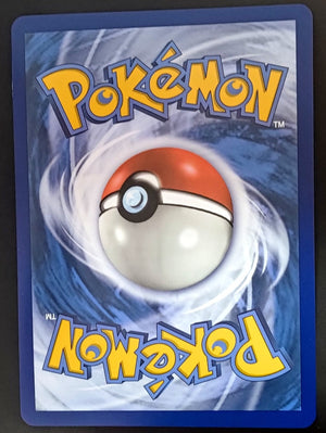 7237272