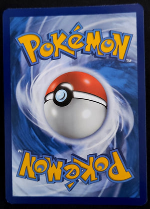 7237368